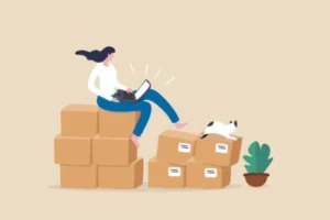 pengusaha bisnis online